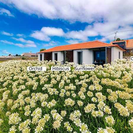 Ourmadeira - Quinta Inacia, Countryside Escape Apartment Calheta  Exterior foto